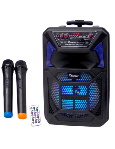 Караоке система Thunder THS-B801