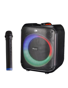 Караоке система PA Audio THS-B80