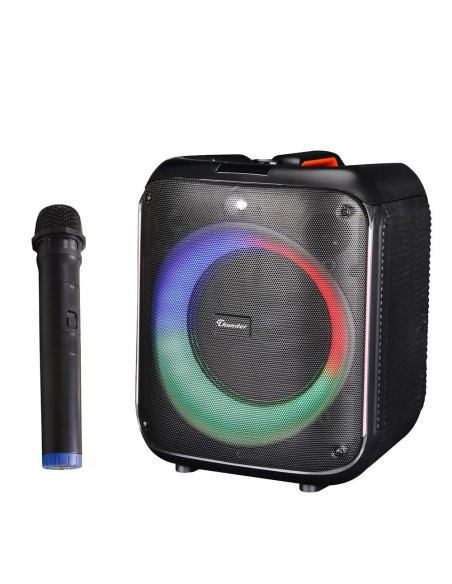 Караоке система PA Audio THS-B80