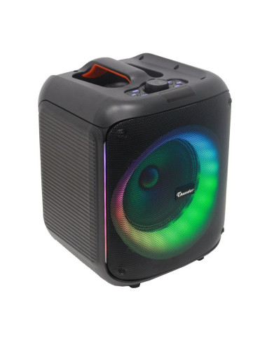 Караоке система PA Audio THS-B80