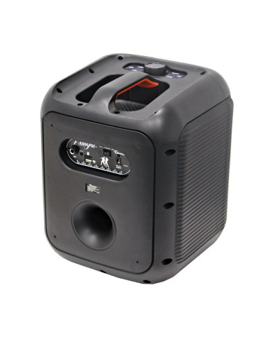 Караоке система PA Audio THS-B80