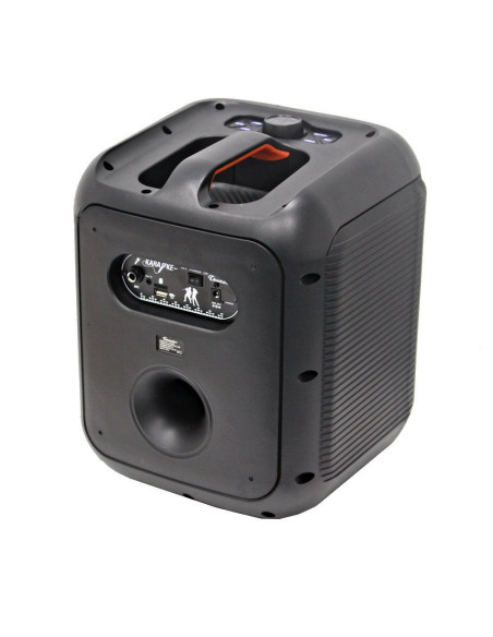 Караоке система PA Audio THS-B80