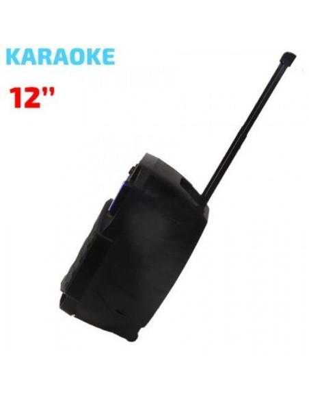 Караоке система PA Audio PA-121