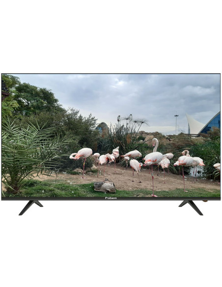 Телевизор Fobem MT55ES8000F Smart