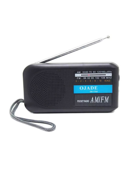 Радио Pasat OE-1705