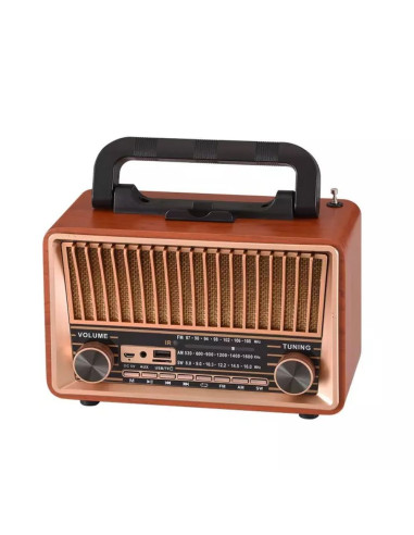 Радио Pasat NS-2071BT