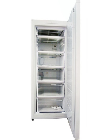 Фризер Atlantic AT-245E