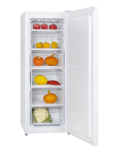 Фризер Snaige F 19SM-TT000E0 2