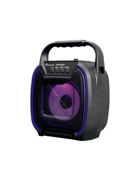 Колонка Thunder THS-B401