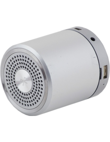 Колонка Pasat T-2020A Bluetooth Grey