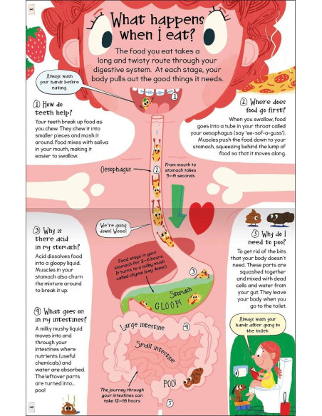 Curious Questions - Answers about My Body
