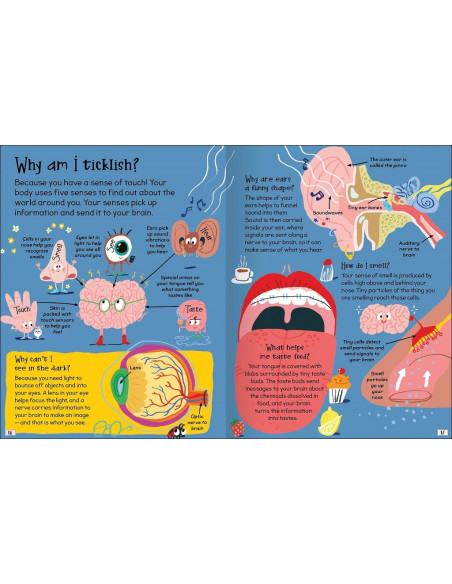 Curious Questions - Answers about My Body