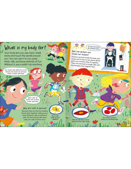 Curious Questions - Answers about My Body