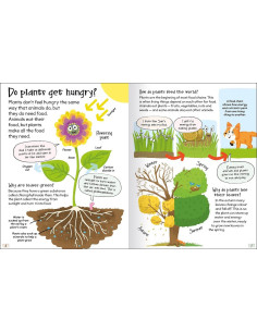 Curious Questions - Answers about Plants 2
