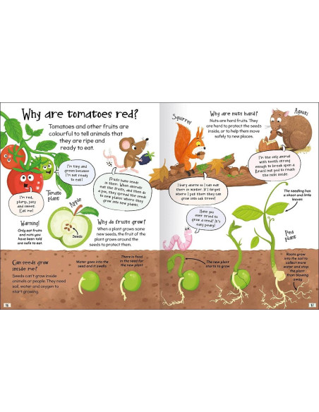 Curious Questions - Answers about Plants
