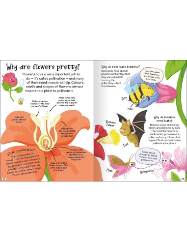 Curious Questions - Answers about Plants