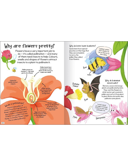 Curious Questions - Answers about Plants