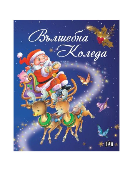 Вълшебна Коледа