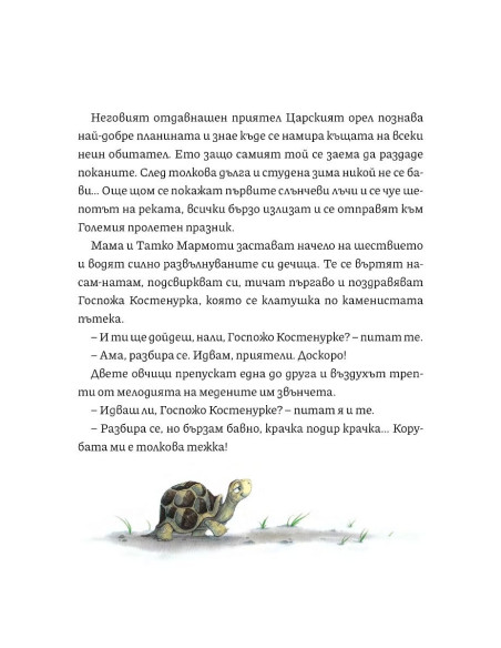 Чудните приказки на дядо - В гората