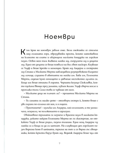 Коледната звезда