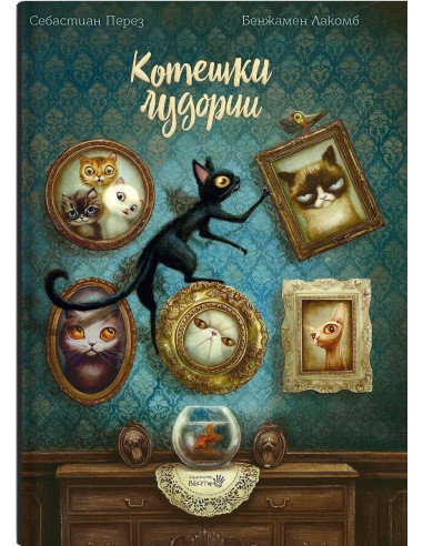 Котешки лудории