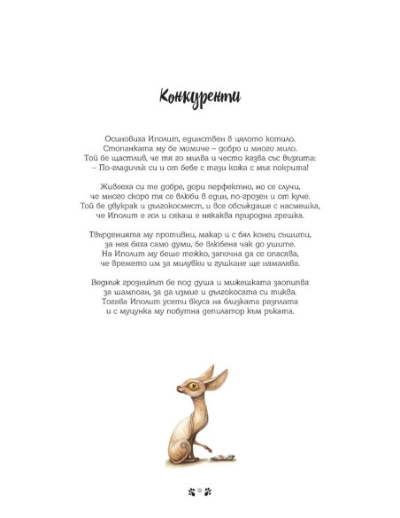 Котешки лудории