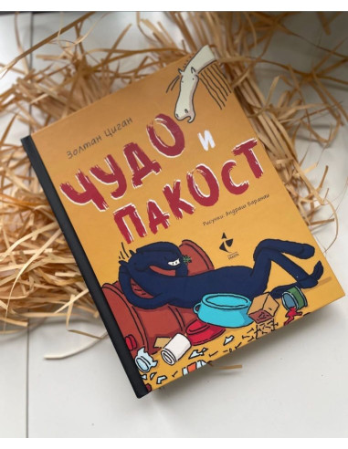 Чудо и пакост - книга 1