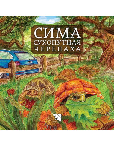 Сима - сухопутная черепаха