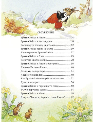 Братко Зайко