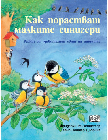 Как порастват малките синигери