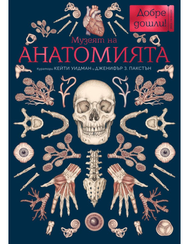 Музеят на анатомията