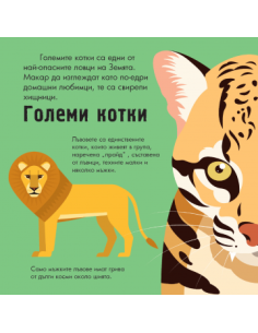 Диви животни - Панорамна книжка 2