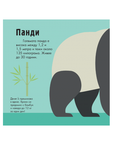 Диви животни - Панорамна книжка