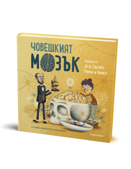 Човешкият мозък