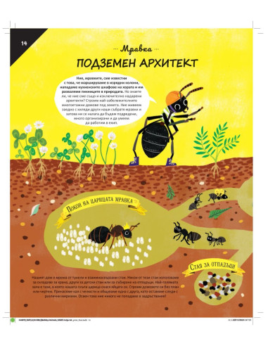Животни - Строители