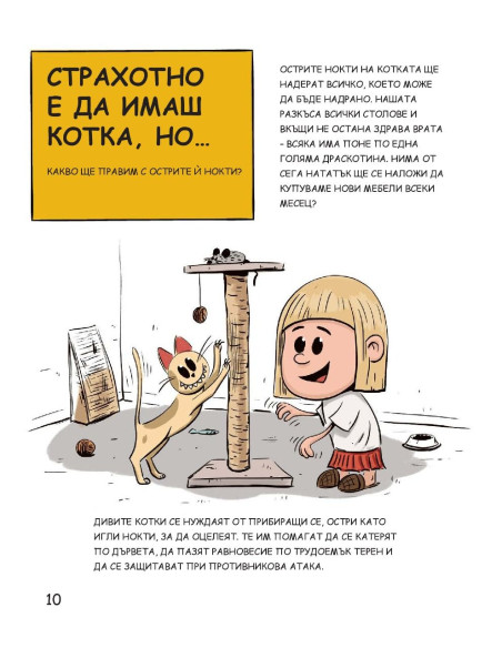 Котките са страхотни, но