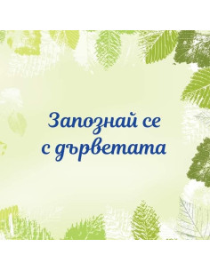 Запознай се с дърветата