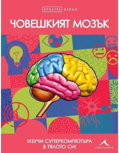 Човешкият мозък - Отвътре навън