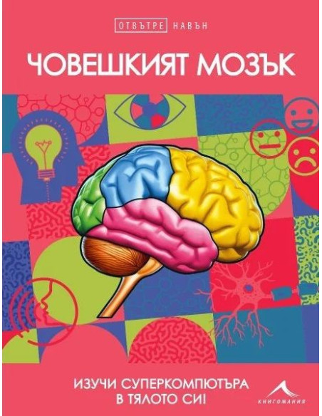 Човешкият мозък - Отвътре навън