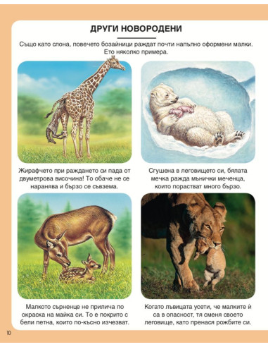 Енциклопедия на природата