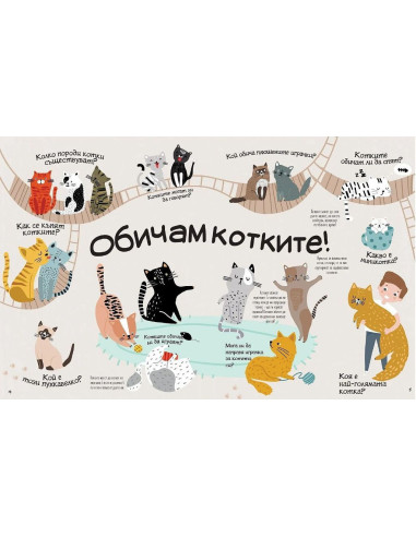 Обичам котките