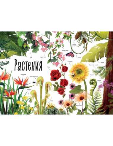 Моята първа книга за природата