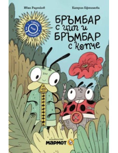 Бръмбар с цип и бръмбар с копче