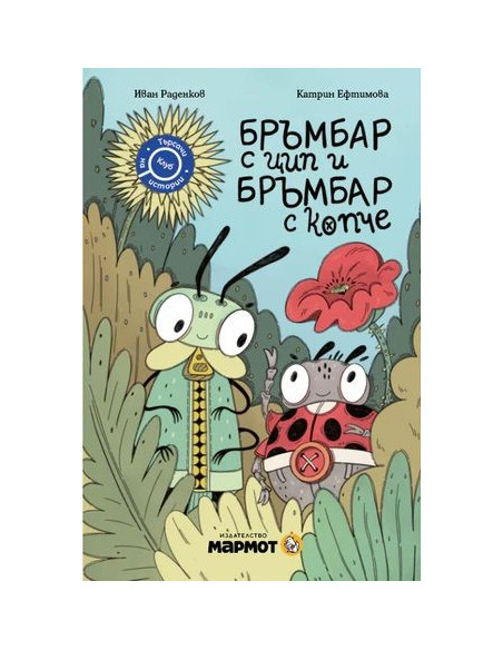 Бръмбар с цип и бръмбар с копче