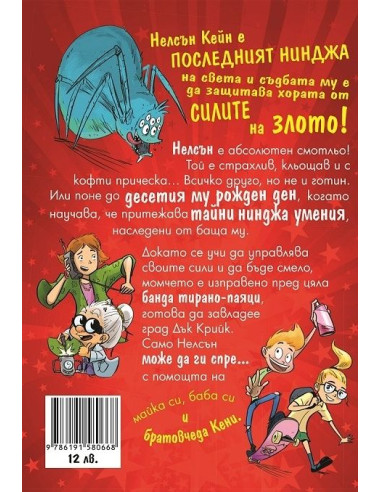 Момчето нинджа
