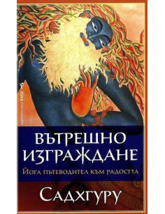 Вътрешно изграждане