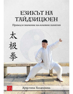 Езикът на тайдзицюен