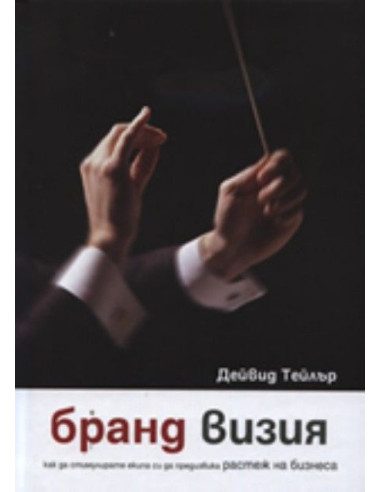 Бранд визия