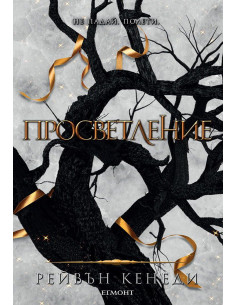 Просветление - книга 3