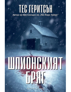 Шпионският бряг